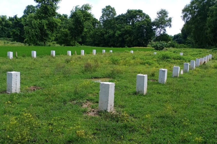 Investment Plot | DS Developer